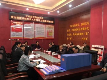 集團副總經理王衛(wèi)平一行到省演出公司督查黨支部建設標準化工作落實情況