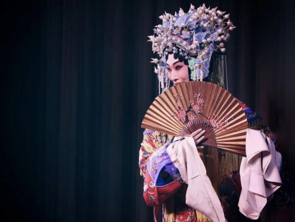 乾坤一臺戲，請君更看戲中戲